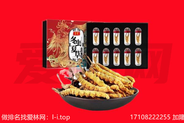 晋中平遥县回收虫草.jpg